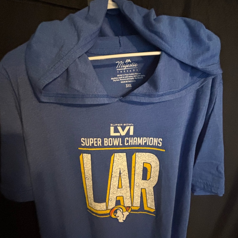 Blue Super Bowl Champions Hoodie